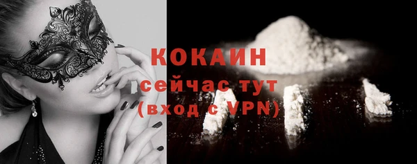 spice Карпинск