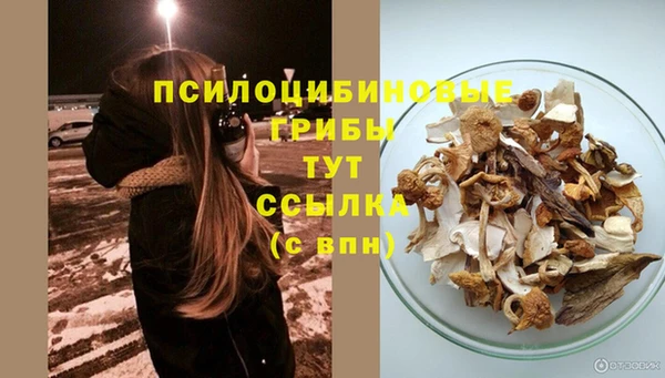 мескалин Касимов